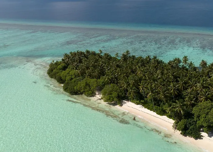 Cove Fehendhoo